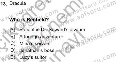 İngiliz/Amerikan Edebiyatı 1 Dersi 2015 - 2016 Yılı (Final) Dönem Sonu Sınav Soruları 13. Soru