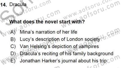 İngiliz/Amerikan Edebiyatı 1 Dersi 2015 - 2016 Yılı (Final) Dönem Sonu Sınav Soruları 14. Soru