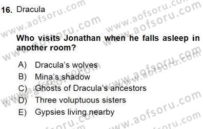 İngiliz/Amerikan Edebiyatı 1 Dersi 2015 - 2016 Yılı (Final) Dönem Sonu Sınav Soruları 16. Soru