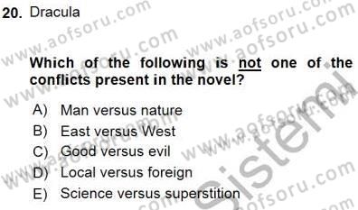 İngiliz/Amerikan Edebiyatı 1 Dersi 2015 - 2016 Yılı (Final) Dönem Sonu Sınav Soruları 20. Soru