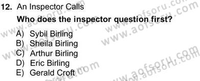 İngiliz/Amerikan Edebiyatı 2 Dersi 2012 - 2013 Yılı (Vize) Ara Sınav Soruları 12. Soru