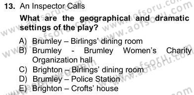 İngiliz/Amerikan Edebiyatı 2 Dersi 2012 - 2013 Yılı (Vize) Ara Sınav Soruları 13. Soru