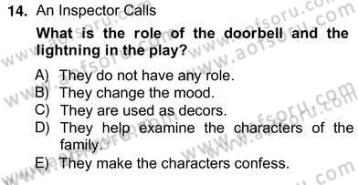 İngiliz/Amerikan Edebiyatı 2 Dersi 2012 - 2013 Yılı (Vize) Ara Sınav Soruları 14. Soru