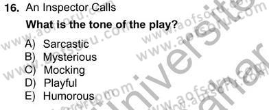 İngiliz/Amerikan Edebiyatı 2 Dersi 2012 - 2013 Yılı (Vize) Ara Sınav Soruları 16. Soru