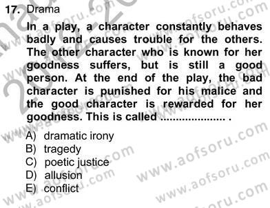 İngiliz/Amerikan Edebiyatı 2 Dersi 2012 - 2013 Yılı (Vize) Ara Sınav Soruları 17. Soru
