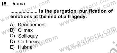 İngiliz/Amerikan Edebiyatı 2 Dersi 2012 - 2013 Yılı (Vize) Ara Sınav Soruları 18. Soru