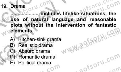 İngiliz/Amerikan Edebiyatı 2 Dersi 2012 - 2013 Yılı (Vize) Ara Sınav Soruları 19. Soru