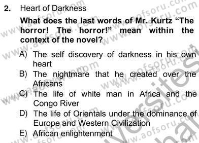 İngiliz/Amerikan Edebiyatı 2 Dersi 2012 - 2013 Yılı (Vize) Ara Sınav Soruları 2. Soru