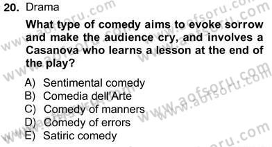 İngiliz/Amerikan Edebiyatı 2 Dersi 2012 - 2013 Yılı (Vize) Ara Sınav Soruları 20. Soru