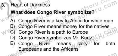 İngiliz/Amerikan Edebiyatı 2 Dersi 2012 - 2013 Yılı (Vize) Ara Sınav Soruları 3. Soru