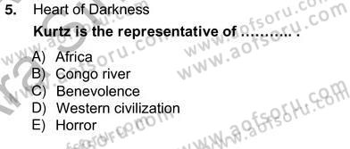 İngiliz/Amerikan Edebiyatı 2 Dersi 2012 - 2013 Yılı (Vize) Ara Sınav Soruları 5. Soru