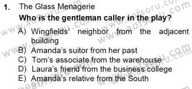 İngiliz/Amerikan Edebiyatı 2 Dersi 2012 - 2013 Yılı (Final) Dönem Sonu Sınav Soruları 1. Soru