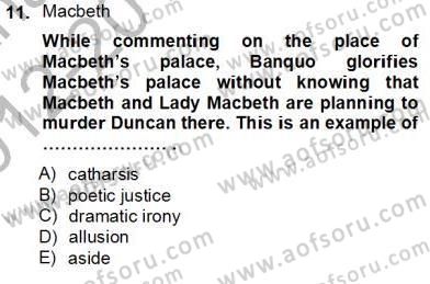 İngiliz/Amerikan Edebiyatı 2 Dersi 2012 - 2013 Yılı (Final) Dönem Sonu Sınav Soruları 11. Soru