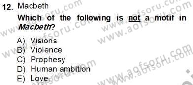 İngiliz/Amerikan Edebiyatı 2 Dersi 2012 - 2013 Yılı (Final) Dönem Sonu Sınav Soruları 12. Soru