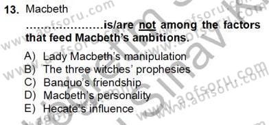 İngiliz/Amerikan Edebiyatı 2 Dersi 2012 - 2013 Yılı (Final) Dönem Sonu Sınav Soruları 13. Soru