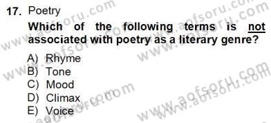İngiliz/Amerikan Edebiyatı 2 Dersi 2012 - 2013 Yılı (Final) Dönem Sonu Sınav Soruları 17. Soru