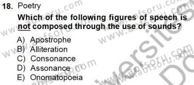 İngiliz/Amerikan Edebiyatı 2 Dersi 2012 - 2013 Yılı (Final) Dönem Sonu Sınav Soruları 18. Soru