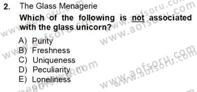 İngiliz/Amerikan Edebiyatı 2 Dersi 2012 - 2013 Yılı (Final) Dönem Sonu Sınav Soruları 2. Soru