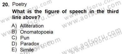 İngiliz/Amerikan Edebiyatı 2 Dersi 2012 - 2013 Yılı (Final) Dönem Sonu Sınav Soruları 20. Soru