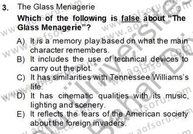 İngiliz/Amerikan Edebiyatı 2 Dersi 2012 - 2013 Yılı (Final) Dönem Sonu Sınav Soruları 3. Soru
