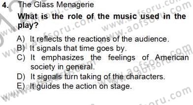 İngiliz/Amerikan Edebiyatı 2 Dersi 2012 - 2013 Yılı (Final) Dönem Sonu Sınav Soruları 4. Soru