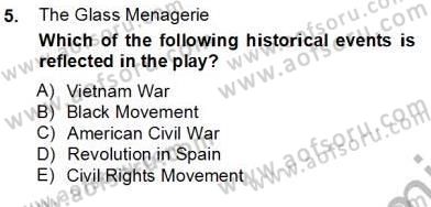 İngiliz/Amerikan Edebiyatı 2 Dersi 2012 - 2013 Yılı (Final) Dönem Sonu Sınav Soruları 5. Soru