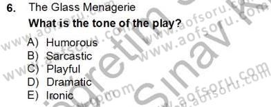 İngiliz/Amerikan Edebiyatı 2 Dersi 2012 - 2013 Yılı (Final) Dönem Sonu Sınav Soruları 6. Soru