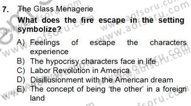 İngiliz/Amerikan Edebiyatı 2 Dersi 2012 - 2013 Yılı (Final) Dönem Sonu Sınav Soruları 7. Soru