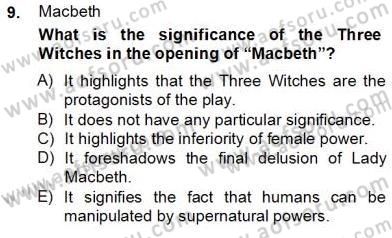 İngiliz/Amerikan Edebiyatı 2 Dersi 2012 - 2013 Yılı (Final) Dönem Sonu Sınav Soruları 9. Soru