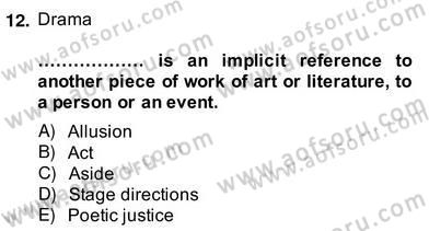 İngiliz/Amerikan Edebiyatı 2 Dersi 2013 - 2014 Yılı (Vize) Ara Sınav Soruları 12. Soru