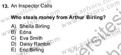 İngiliz/Amerikan Edebiyatı 2 Dersi 2013 - 2014 Yılı (Vize) Ara Sınav Soruları 13. Soru