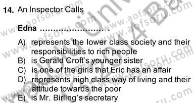 İngiliz/Amerikan Edebiyatı 2 Dersi 2013 - 2014 Yılı (Vize) Ara Sınav Soruları 14. Soru