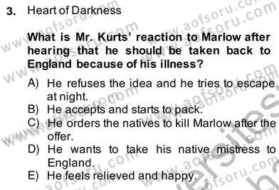 İngiliz/Amerikan Edebiyatı 2 Dersi 2013 - 2014 Yılı (Vize) Ara Sınav Soruları 3. Soru