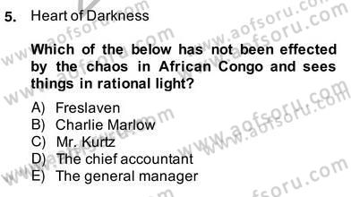 İngiliz/Amerikan Edebiyatı 2 Dersi 2013 - 2014 Yılı (Vize) Ara Sınav Soruları 5. Soru