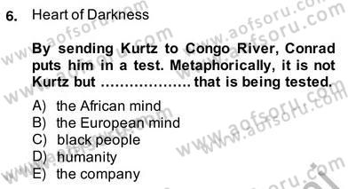 İngiliz/Amerikan Edebiyatı 2 Dersi 2013 - 2014 Yılı (Vize) Ara Sınav Soruları 6. Soru