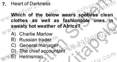 İngiliz/Amerikan Edebiyatı 2 Dersi 2013 - 2014 Yılı (Vize) Ara Sınav Soruları 7. Soru