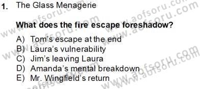 İngiliz/Amerikan Edebiyatı 2 Dersi 2013 - 2014 Yılı (Final) Dönem Sonu Sınav Soruları 1. Soru