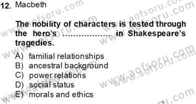 İngiliz/Amerikan Edebiyatı 2 Dersi 2013 - 2014 Yılı (Final) Dönem Sonu Sınav Soruları 12. Soru