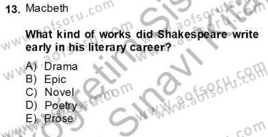 İngiliz/Amerikan Edebiyatı 2 Dersi 2013 - 2014 Yılı (Final) Dönem Sonu Sınav Soruları 13. Soru