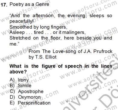 İngiliz/Amerikan Edebiyatı 2 Dersi 2013 - 2014 Yılı (Final) Dönem Sonu Sınav Soruları 17. Soru