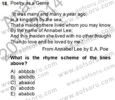 İngiliz/Amerikan Edebiyatı 2 Dersi 2013 - 2014 Yılı (Final) Dönem Sonu Sınav Soruları 18. Soru