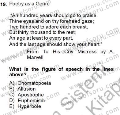 İngiliz/Amerikan Edebiyatı 2 Dersi 2013 - 2014 Yılı (Final) Dönem Sonu Sınav Soruları 19. Soru