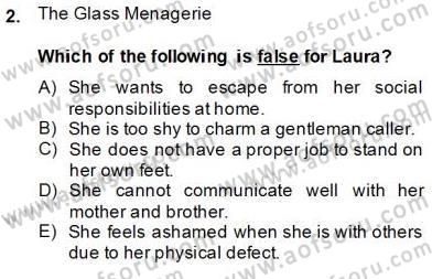İngiliz/Amerikan Edebiyatı 2 Dersi 2013 - 2014 Yılı (Final) Dönem Sonu Sınav Soruları 2. Soru