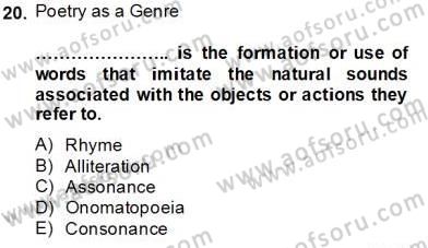 İngiliz/Amerikan Edebiyatı 2 Dersi 2013 - 2014 Yılı (Final) Dönem Sonu Sınav Soruları 20. Soru
