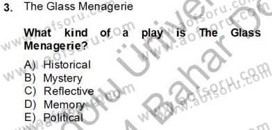 İngiliz/Amerikan Edebiyatı 2 Dersi 2013 - 2014 Yılı (Final) Dönem Sonu Sınav Soruları 3. Soru