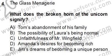 İngiliz/Amerikan Edebiyatı 2 Dersi 2013 - 2014 Yılı (Final) Dönem Sonu Sınav Soruları 4. Soru
