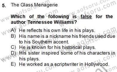 İngiliz/Amerikan Edebiyatı 2 Dersi 2013 - 2014 Yılı (Final) Dönem Sonu Sınav Soruları 5. Soru