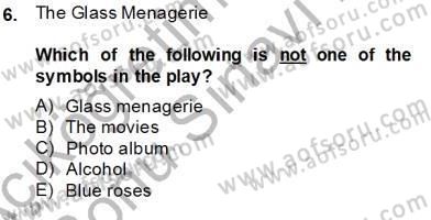 İngiliz/Amerikan Edebiyatı 2 Dersi 2013 - 2014 Yılı (Final) Dönem Sonu Sınav Soruları 6. Soru
