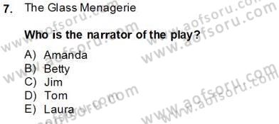 İngiliz/Amerikan Edebiyatı 2 Dersi 2013 - 2014 Yılı (Final) Dönem Sonu Sınav Soruları 7. Soru