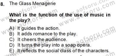 İngiliz/Amerikan Edebiyatı 2 Dersi 2013 - 2014 Yılı (Final) Dönem Sonu Sınav Soruları 8. Soru